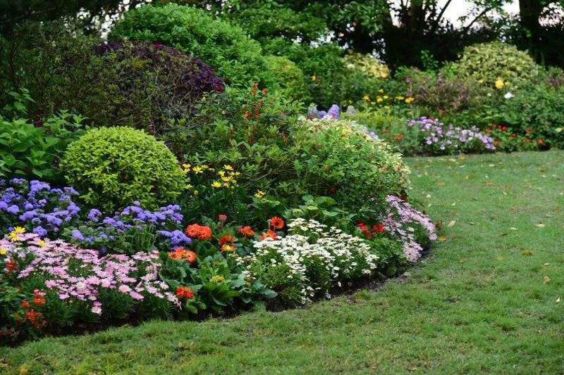 园林绿化工程中花镜植物如何设计?基本营造方法有哪些?