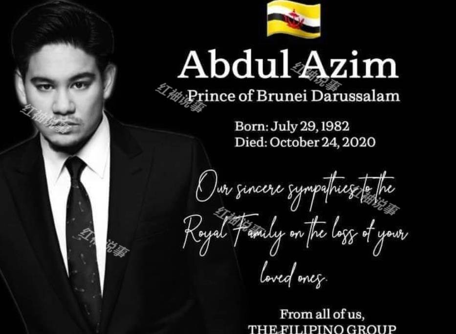 文莱王子死因曝光!29岁马丁代表王室发声:哥哥生前患有躁郁症