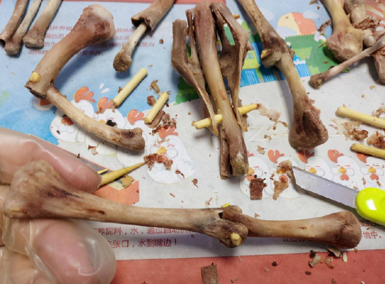 买不到的神奇手办用鸡骨头做出来的李白手办王者官方都看懵了