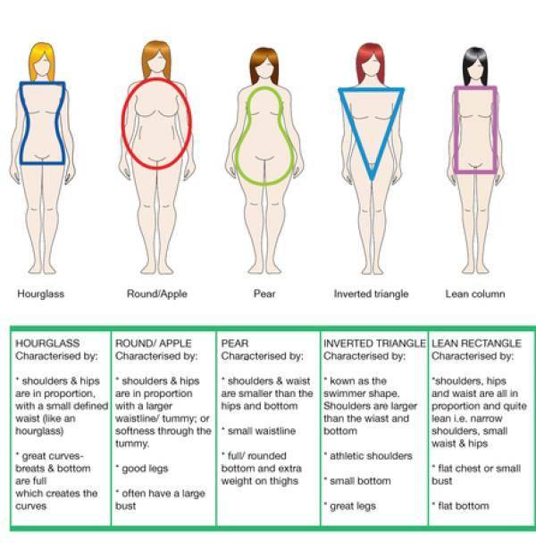 女性体型分类图片
