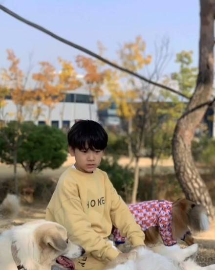 虽然李容奎的外貌并不算出众,但是儿子遗传了妈妈刘荷娜的优良基因