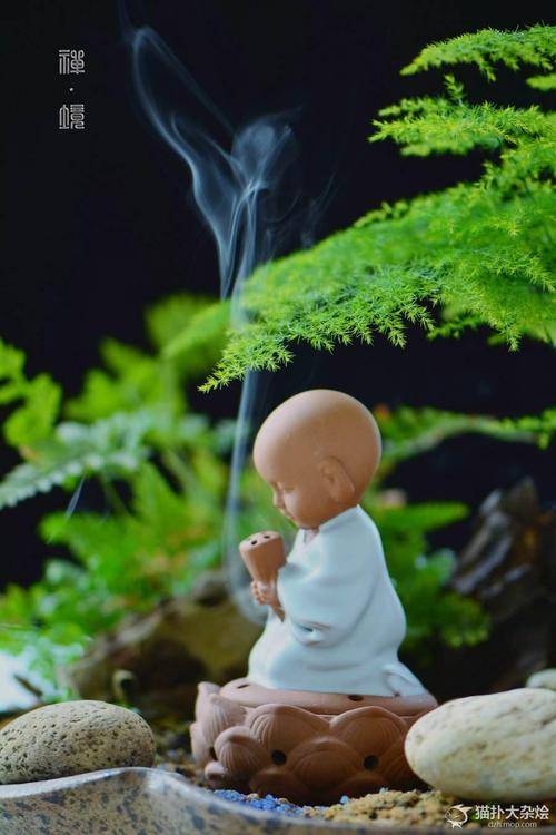 摄心为戒，因戒生定，从定发慧_过程