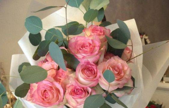 喜欢玫瑰不如养一盆"红袖玫瑰",花语:红颜知己,颜值高寓意好