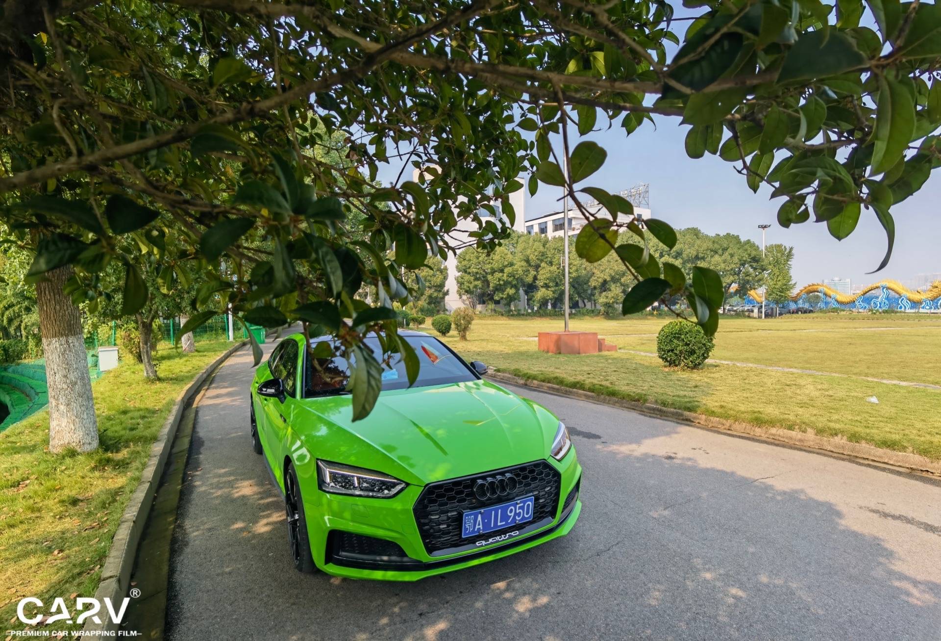 蝰蛇绿8006奥迪s5