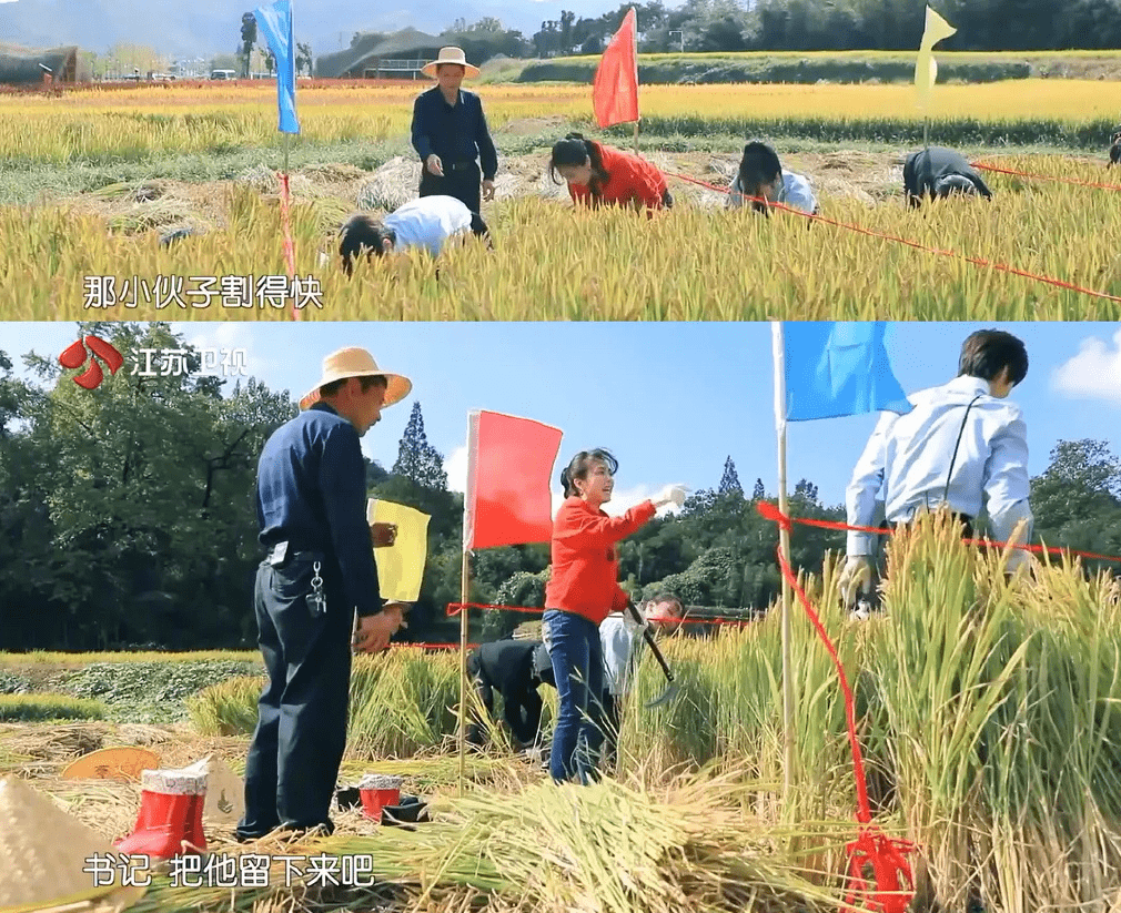 近日,赵磊因为太优秀也陷入了"麻烦",因为他去帮农民伯伯的忙,当起了