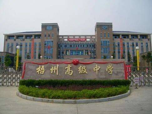 原创广西11所中学上榜四大学科竞赛全国500强!有你的学校吗?