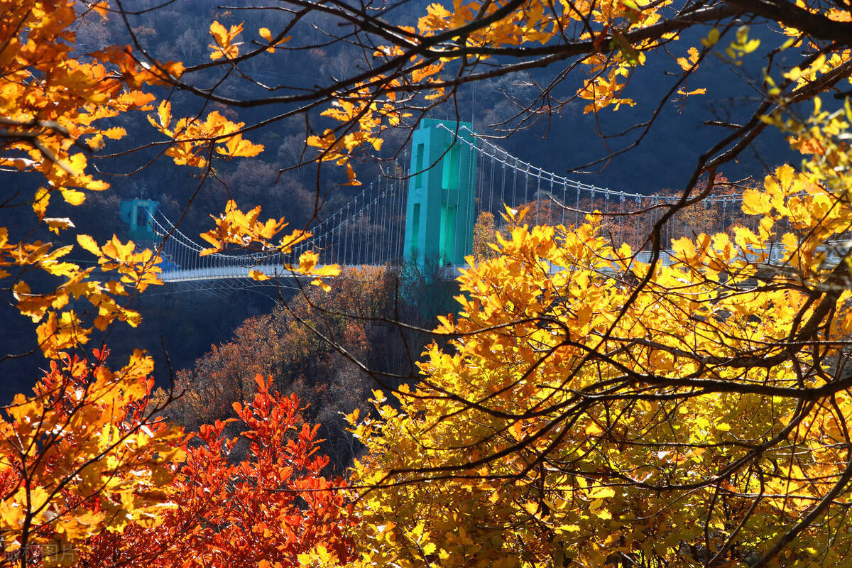 2021北京风景年票提前发布其中这8个景点最适合深秋打卡