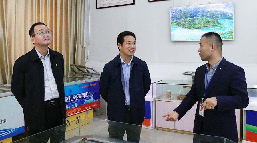 巢湖市委副书记许汉生一行莅临富煌集团调研_的发展