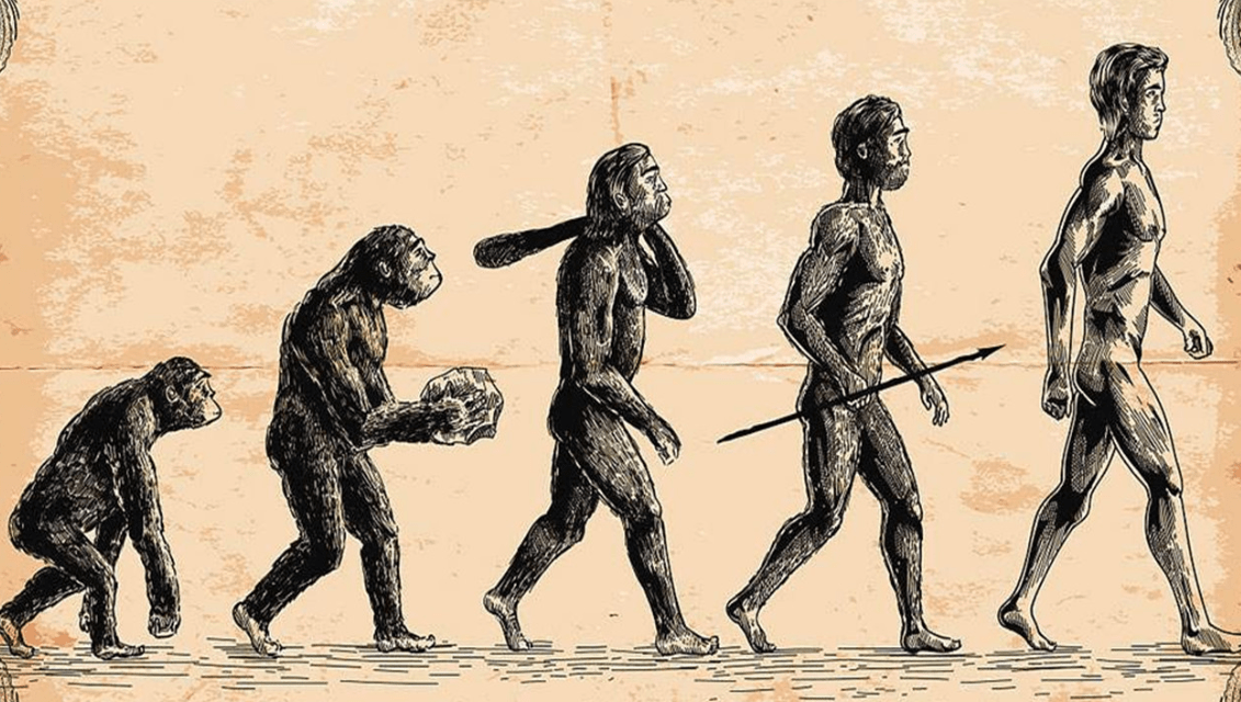 猴子进化成人类的图片图片