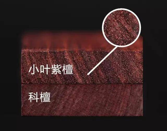 一起来谈檀科檀