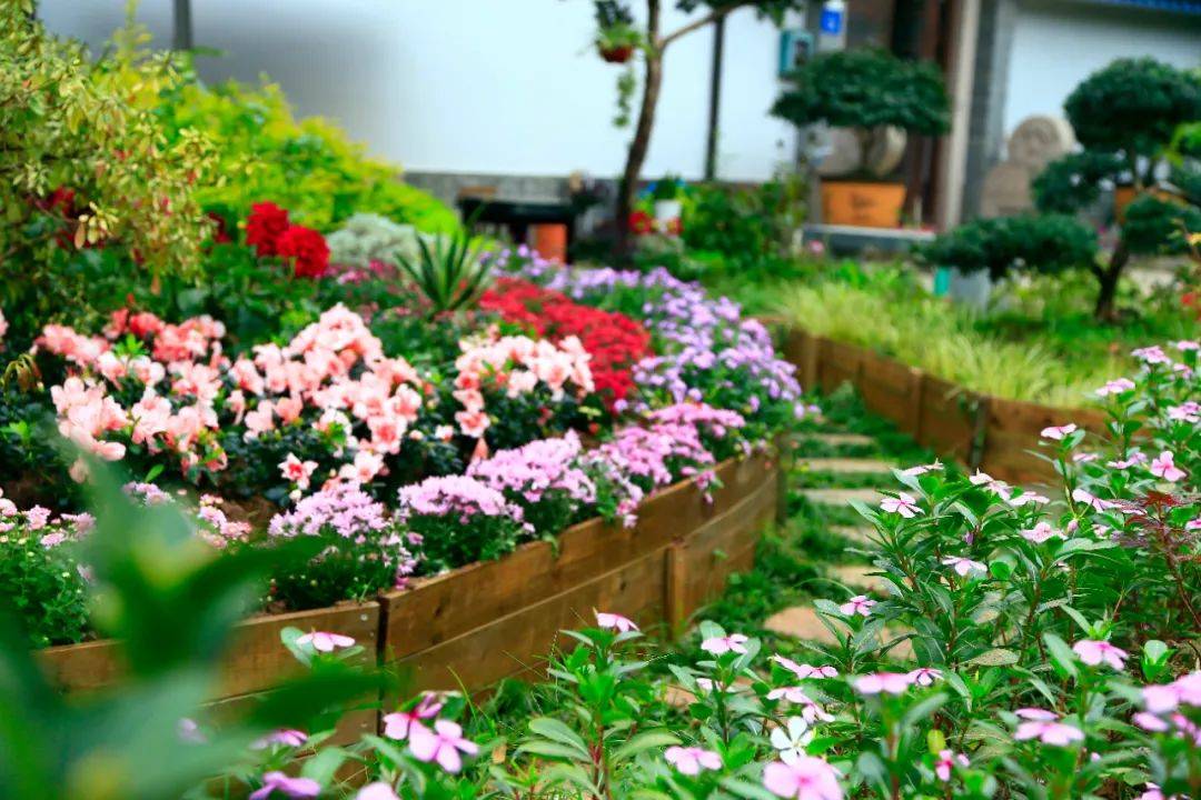 花开香满径江阴顾山的美丽庭院惊艳亮相