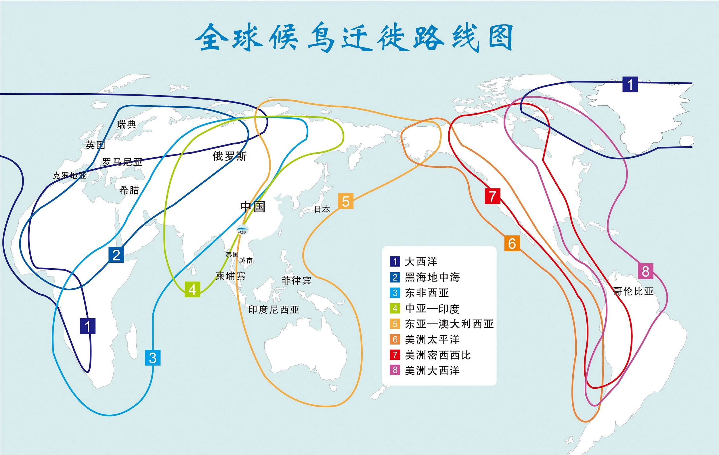 全球候鸟迁徙路线图图片