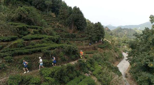 首屆福安坦洋工夫杯激情柏柱洋茜洋橫坑越野賽