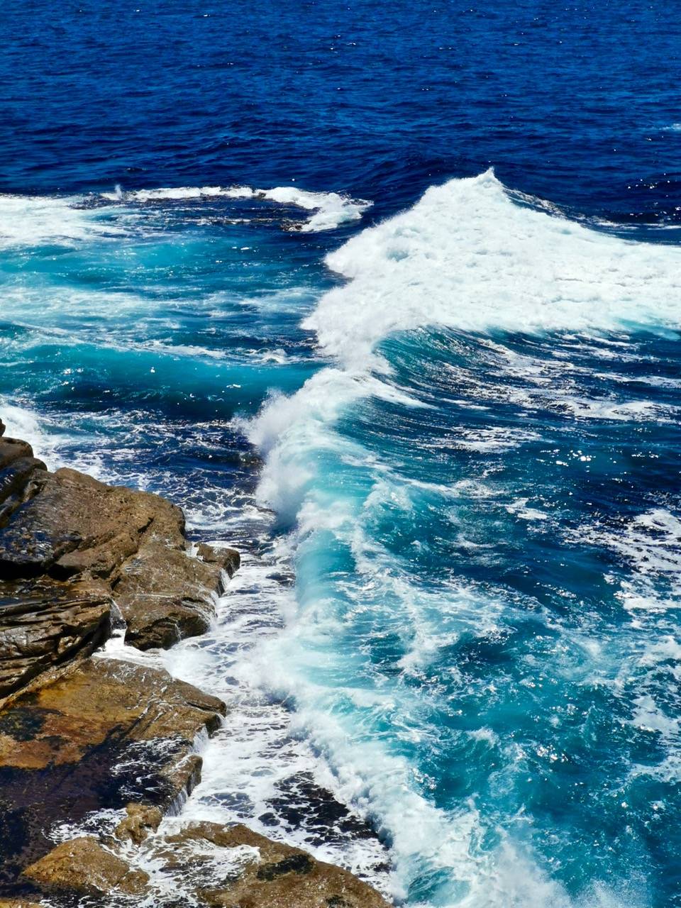 悉尼绝美海边小径徒步,尽头就是太平洋灯塔