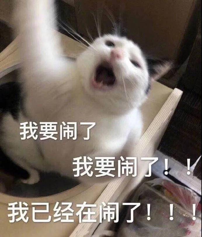 川宝:我要开始闹了!