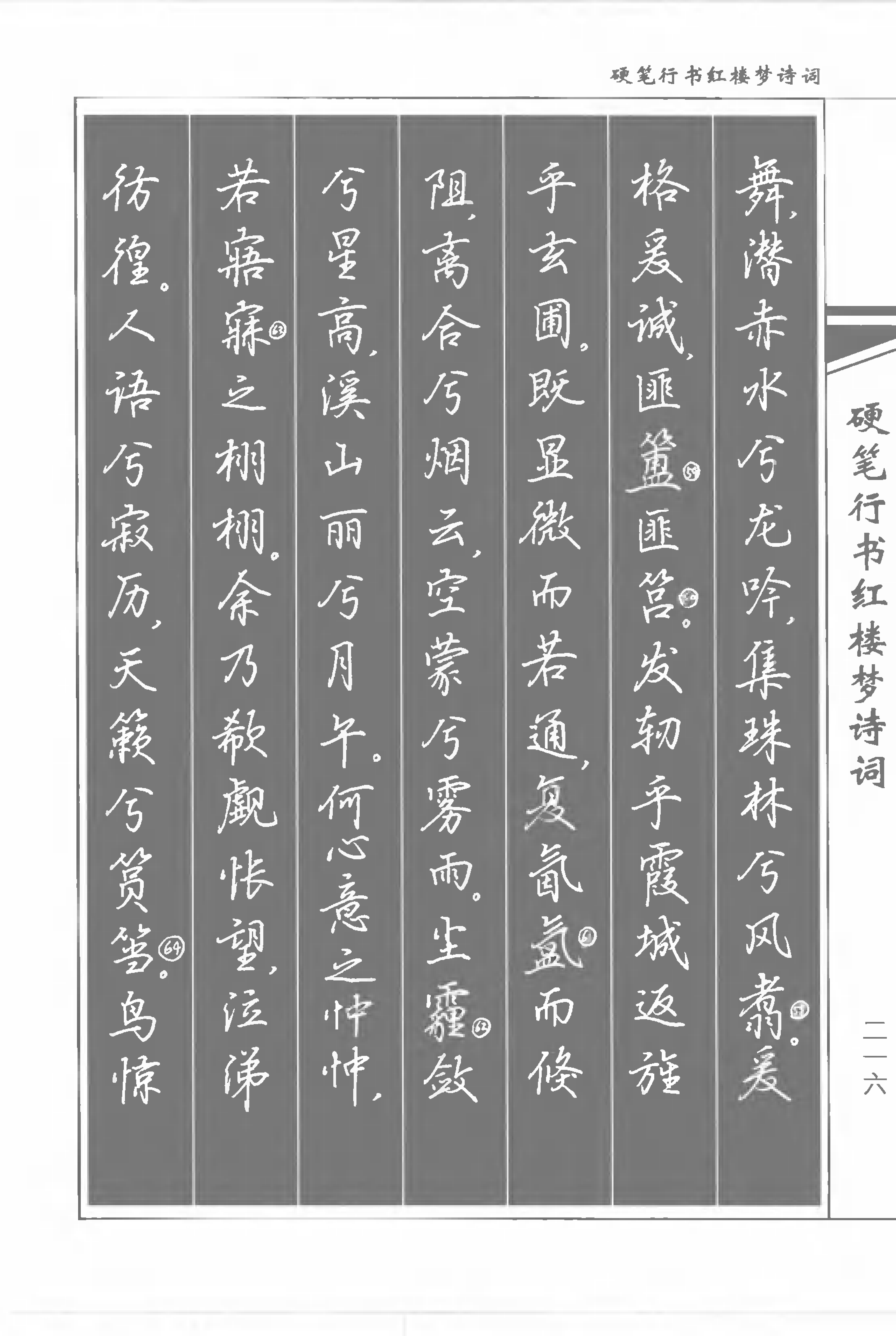 书法家吴玉生《硬笔行书红楼梦诗词》练字好字帖,轻松学书法