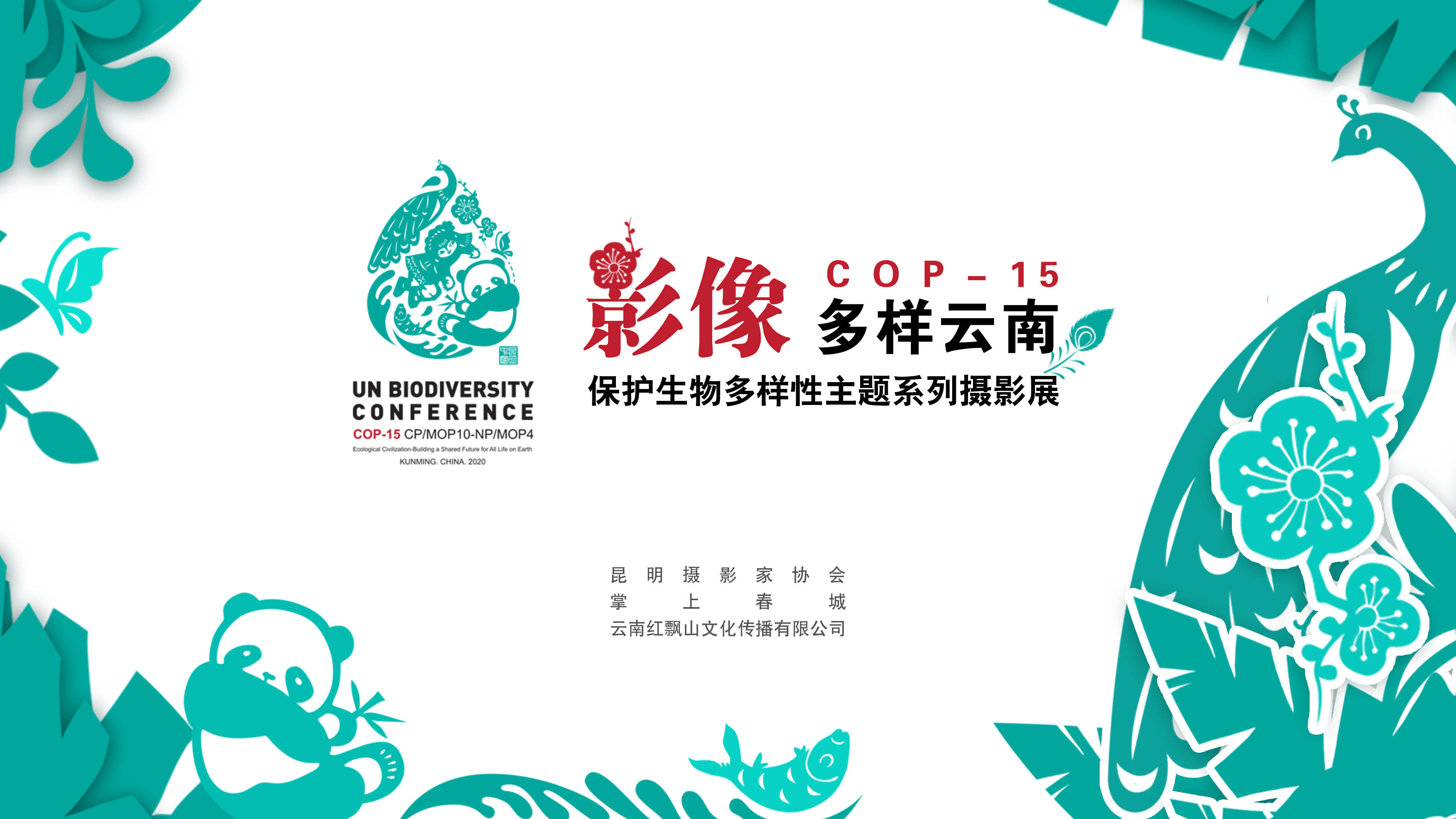 昆明9大特色活动燃动《生物多样性公约》第十五次缔约方大会宣传周