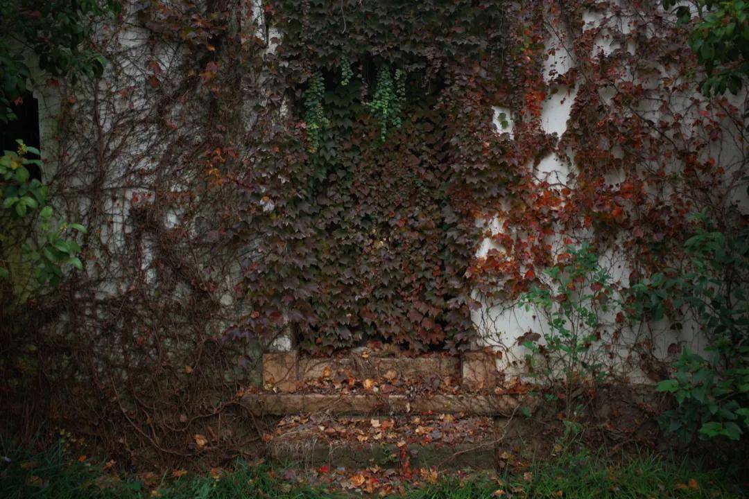 ARRI 走访2020横店影视文化产业博览会