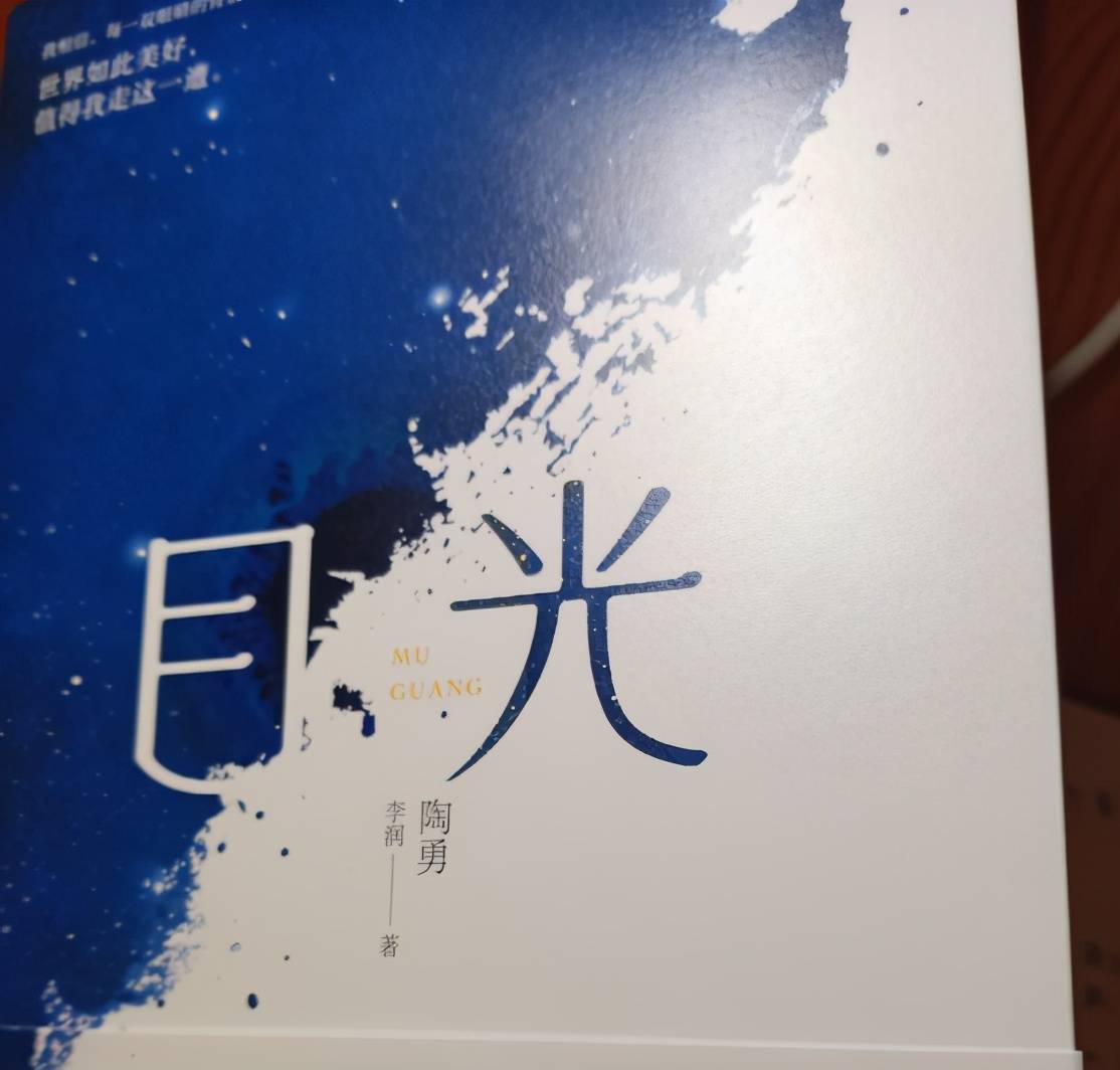 作者: 陶勇《目光》2.