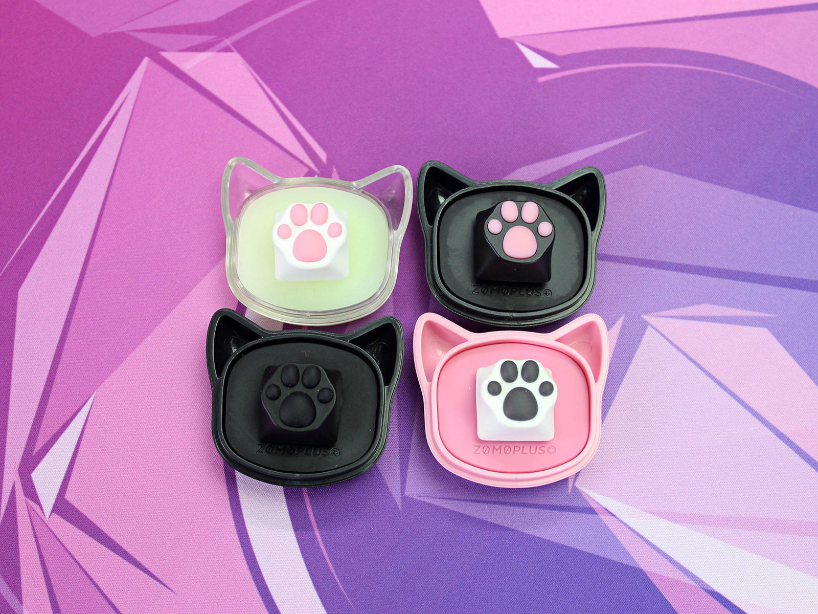 心甘情愿沦为桌面吸猫玩家zomoxbilibili萌盒开箱