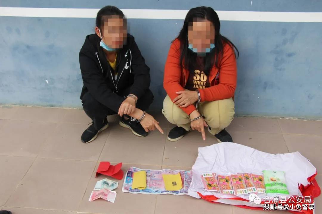 经查,11月9日10时许,犯罪嫌疑人韦某卫,陈某梅流