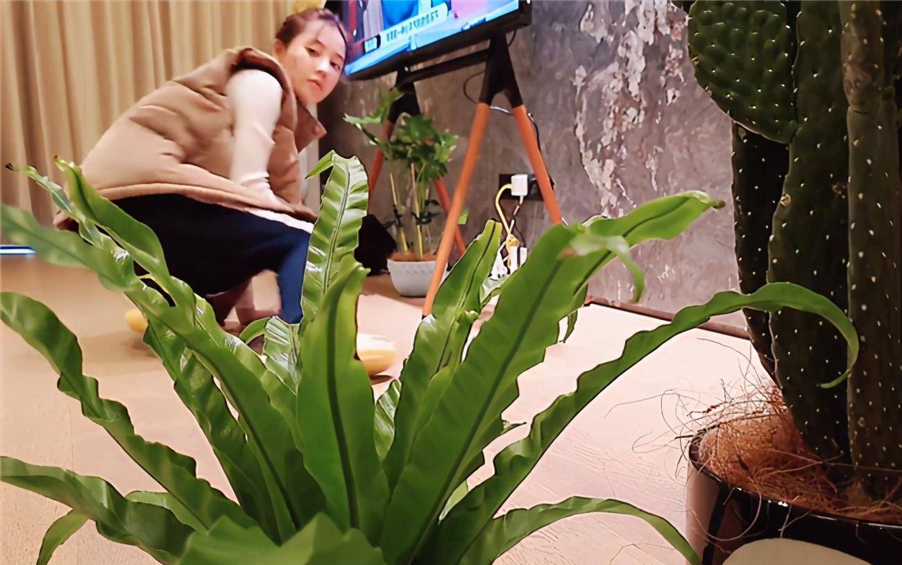 虽然红得发紫,不过冯提莫依然保持着她可爱搞怪的性格