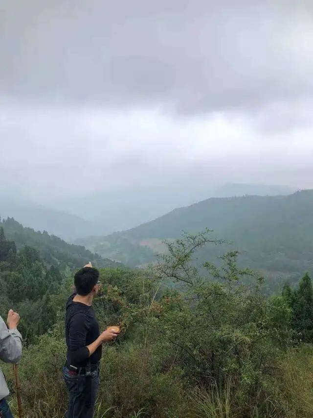 逆水上堂真宝地,生基种下即如意!道先生讲珍贵的生基操作方式!