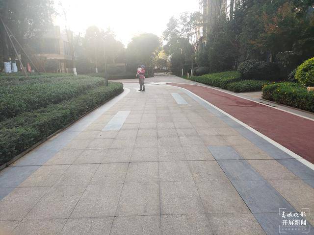 不用出钱昆明一小区石板路被免费打碎换铺透水材料业主很疑惑