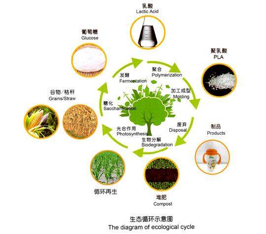 食布同源聚乳酸PLA保暖内衣,温暖整个冬天-搜狐大视野-搜狐新闻