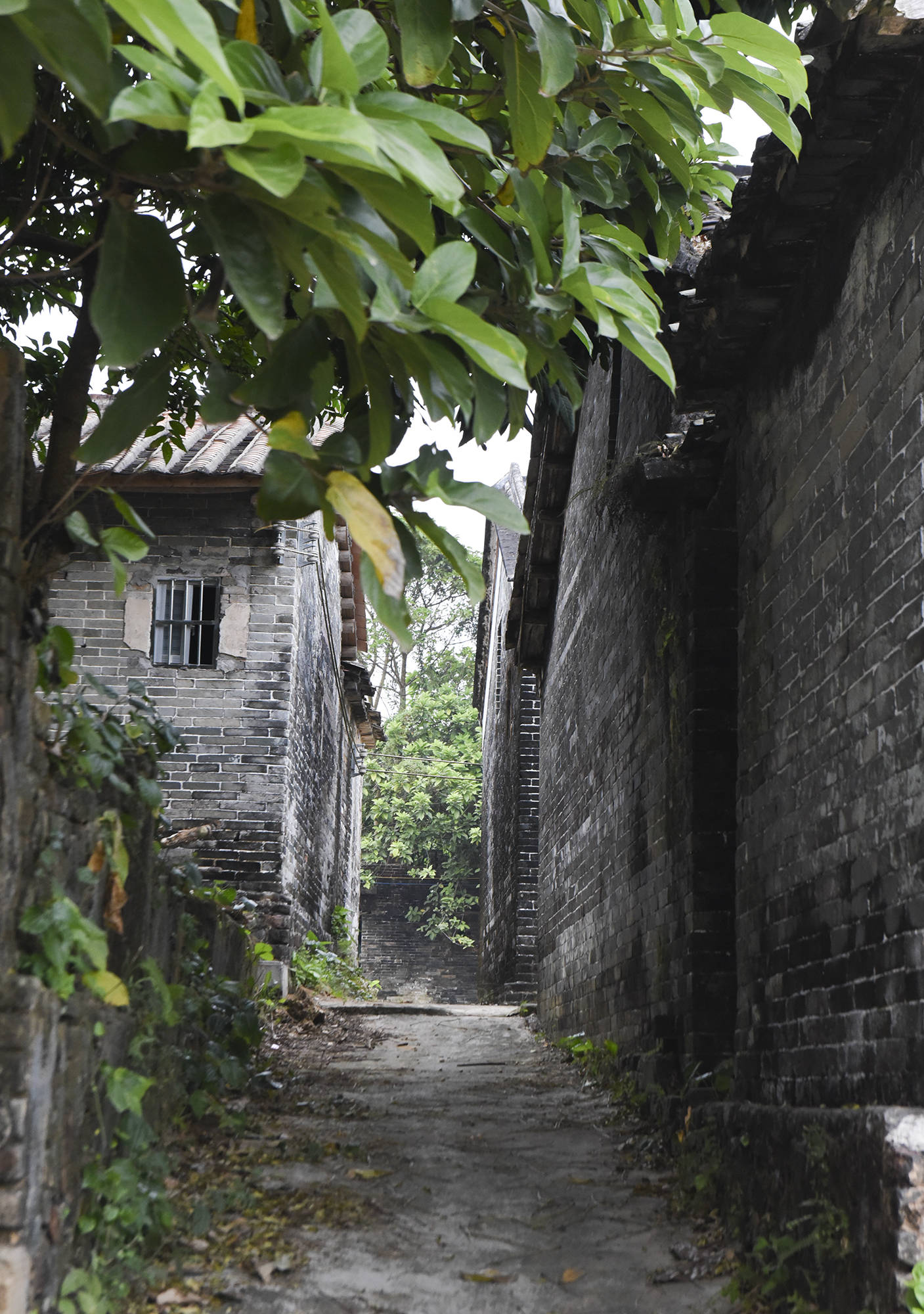 穿红裙到乡村旅游,吓得村民一哆嗦,这座百年村庄其实时光静好