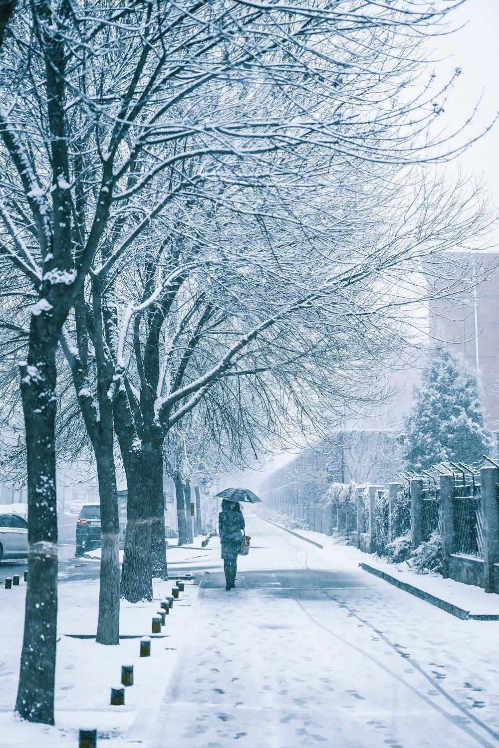 为什么你拍的雪景照不是脏就是秃5个诀窍助你拍出最美的雪