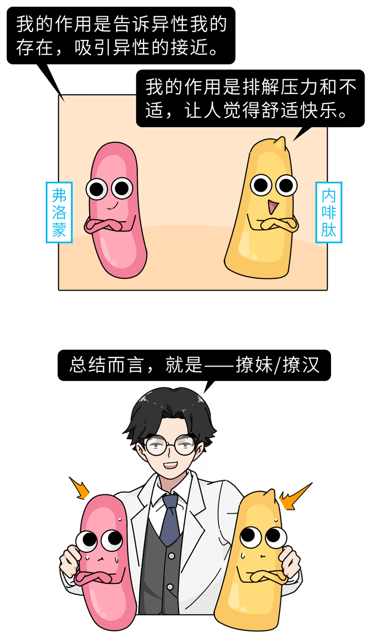 进而使对方产生快乐荷尔蒙——内啡肽其作用就是通过散发气味来吸引