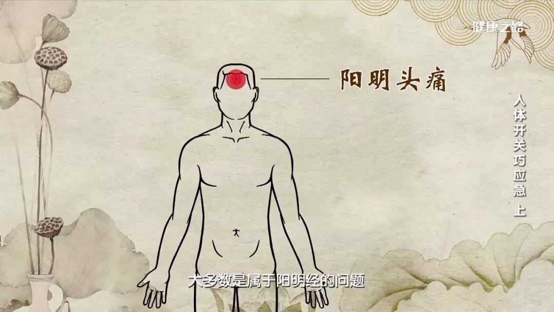 点穴解疼痛轻松让你告别头痛牙痛胃痛和痛经