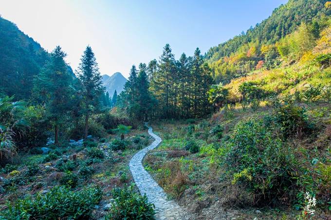 靠山吃山靠水吃水,狮石乡有着丰富的温泉资源,泉水中富含硫化氢,用