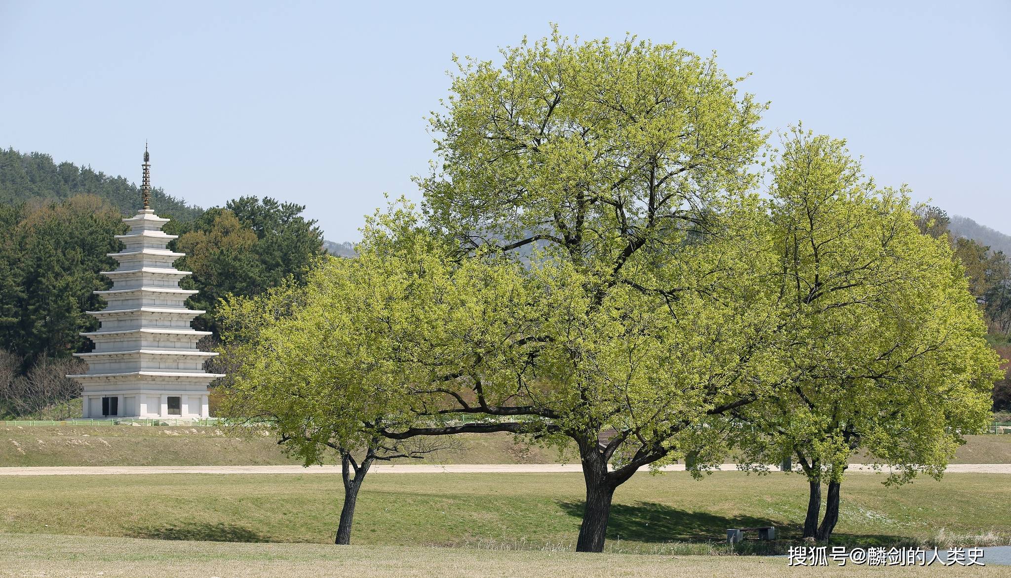 【朝鲜古代君王谱】百济(三):近肖古王