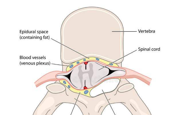 骶管在哪个位置图片图片