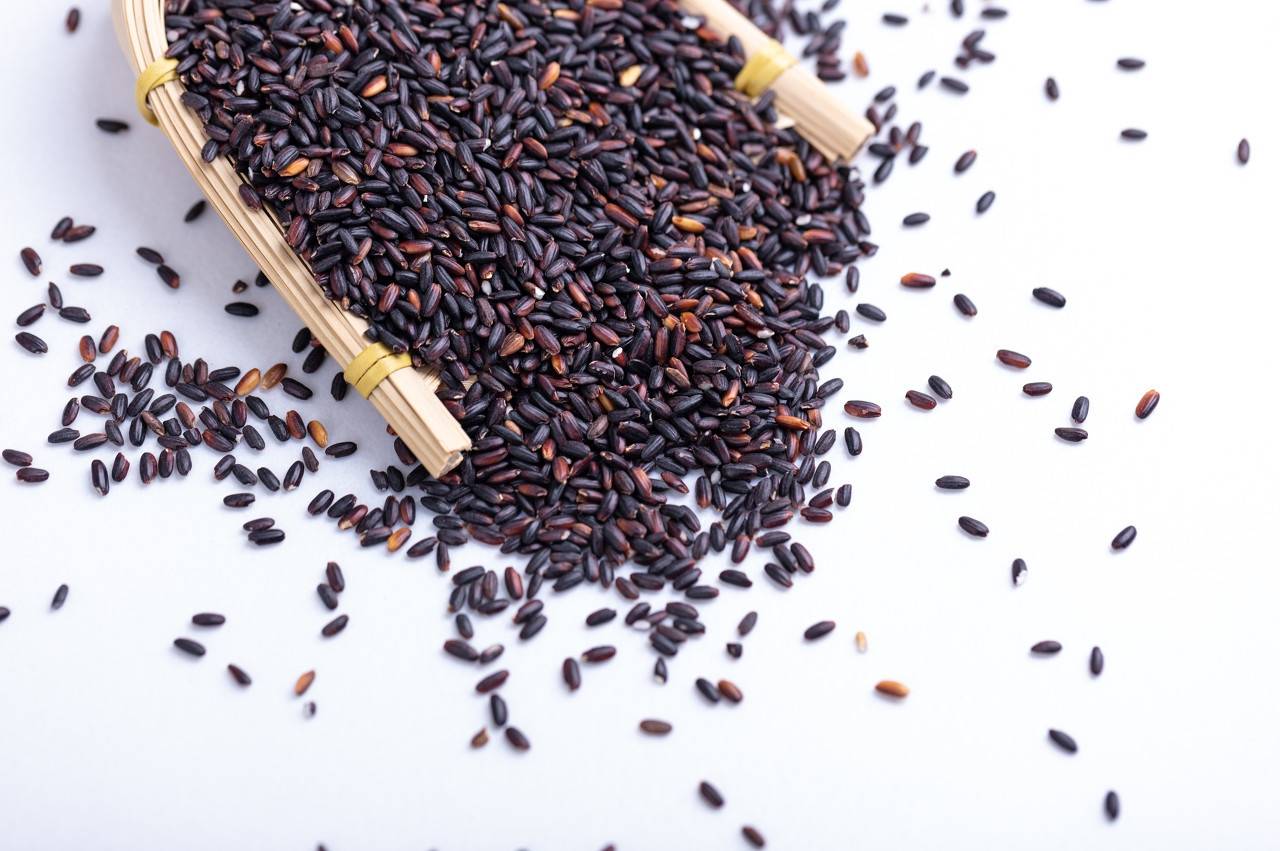 由禾本科植物稻经长期培育形成的一类特色品种,黑米稻粒外观长椭圆形