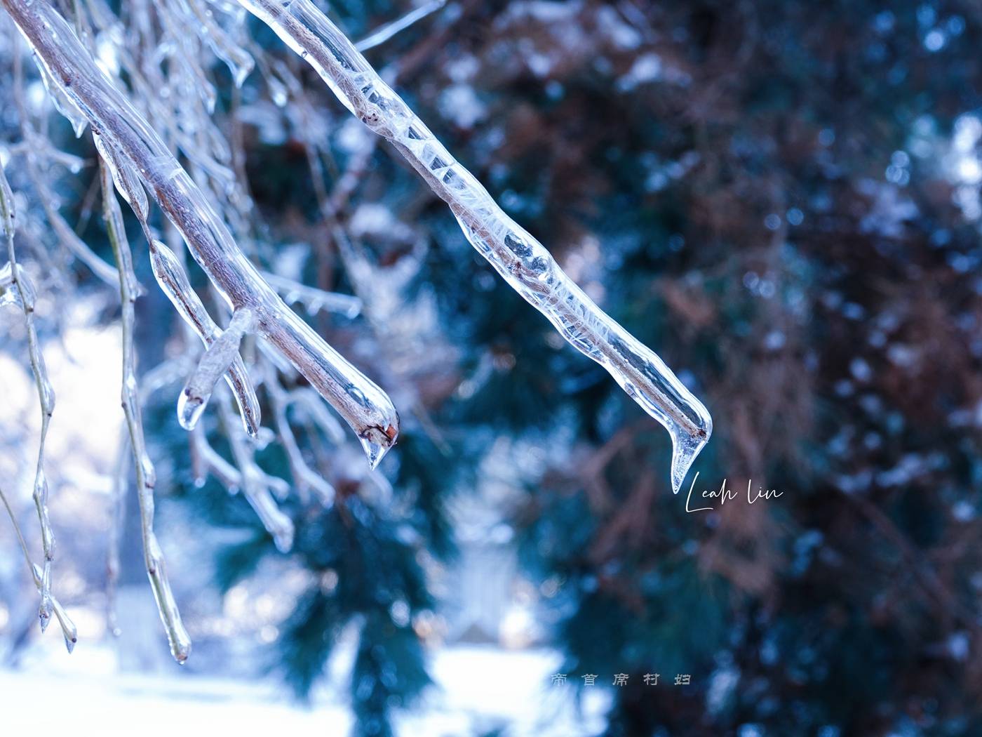 長春驚現百年不遇冰掛,冰雪奇緣太驚豔,連本地中年人都說沒見過