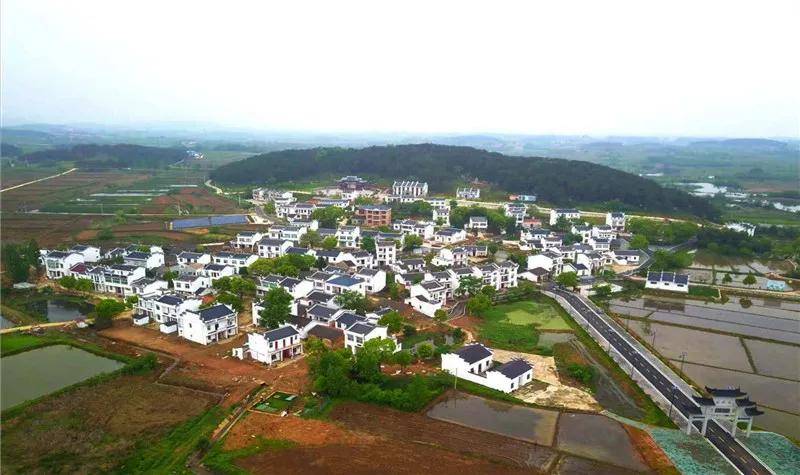 黄陂区凤凰寨村