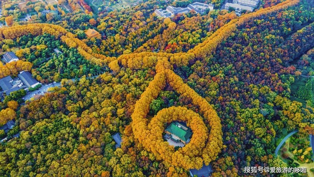 南京的秋天有多好看?连人民日报都点名!