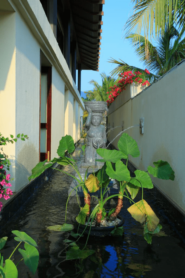 别墅内有很特别的莲花池引路,营造出了一种"屋在水中,人在花中"的浪漫