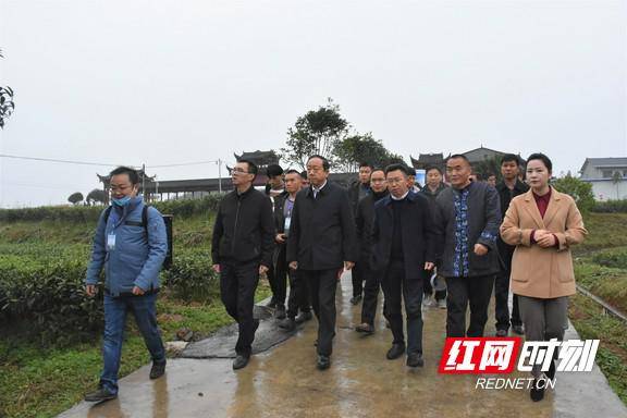 花垣县委书记罗明在会上作宜机化改造项目典型发言.