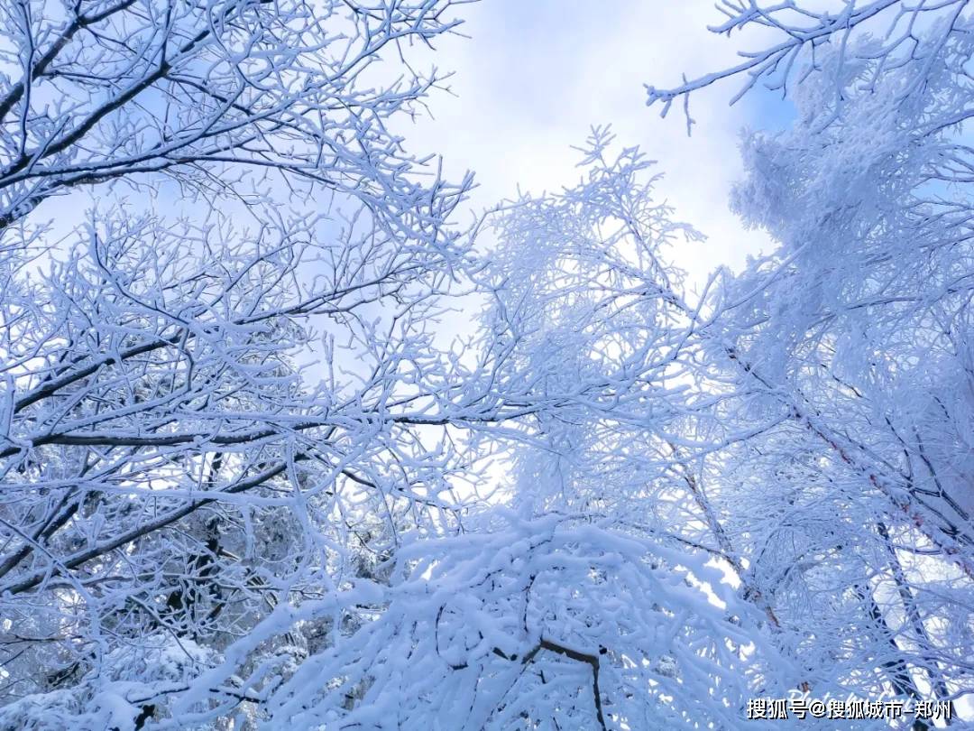 【一大波網友來白雲山許願】當冬雪飄零時,我願