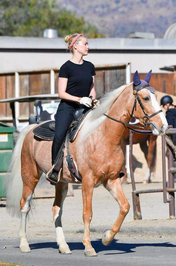 女星艾梅柏·希尔德骑马拍照,她看起来魅力迷人