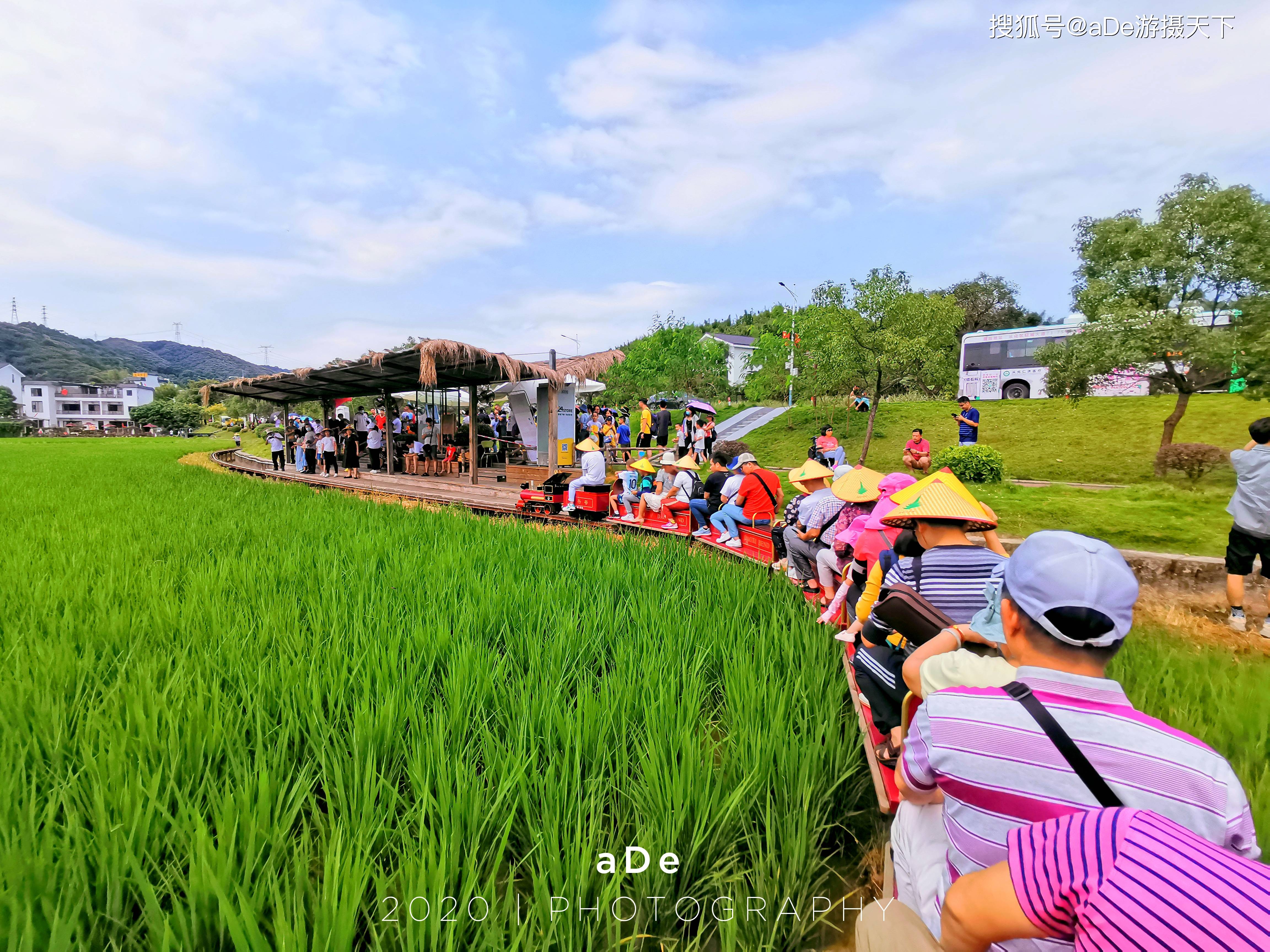 广州周边游,打卡从化米埗网红稻田小火车