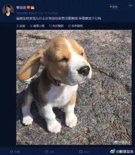 杨丞琳晒李荣浩与柴犬对比图官方吐槽最为致命你们觉得像吗
