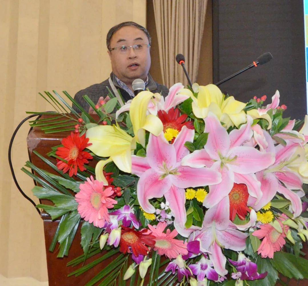 原创2020年中国非金属矿产业高峰论坛暨绿色矿山建设高