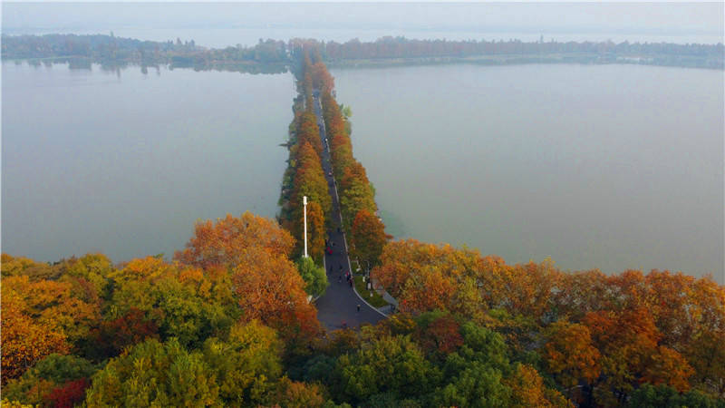 航拍東湖綠道初冬層林盡染美景