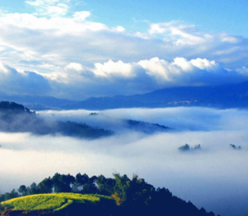 雲南臨滄叫雨山火腿介紹圖片大全