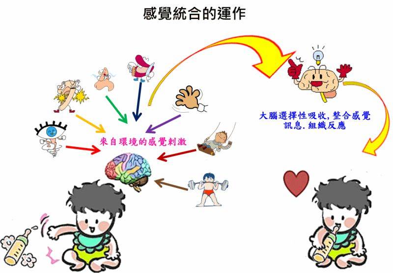 感觉统合能力发展的四大阶段:4个小游戏,带娃在家做感统训练_手机搜狐